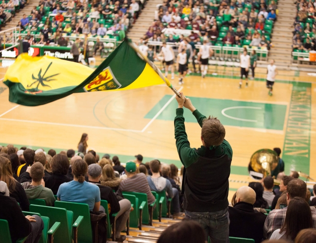 A fan sitting in the stands waiving a large green and yellow flag