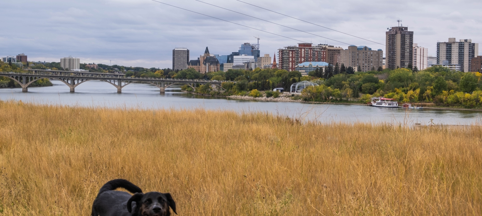 5 Things to do this Autumn in Saskatoon