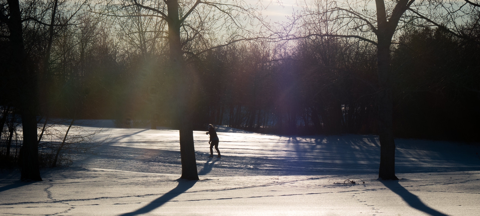 Cross-country Skiing in Saskatoon: A First-timer’s Guide