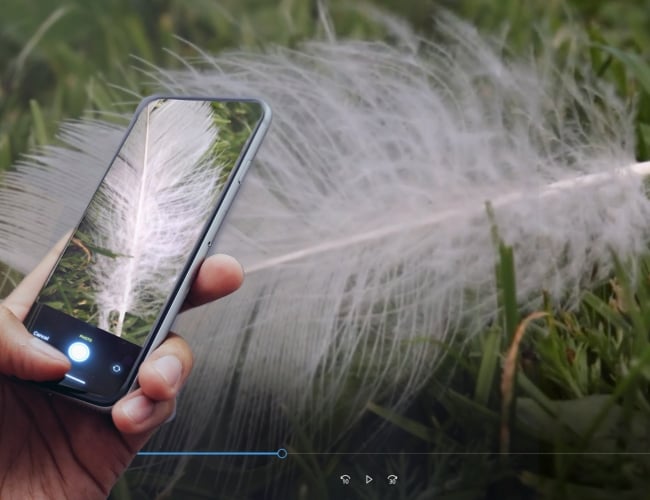 Photograph of a feather with iNaturalist on a smartphone