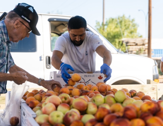 Saskatoon Farmers' Market – Saskatoon Farmers' Market - Little Quail Ridge Orchards