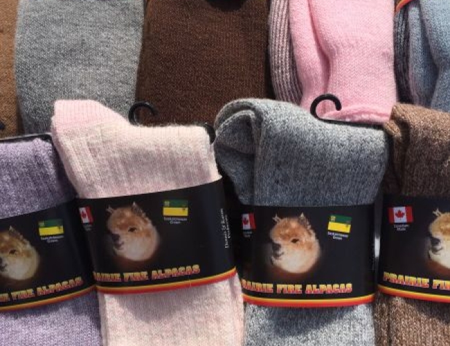 Prairie Fire Alpacas – Socks
